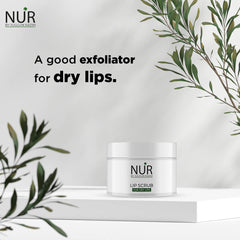 Lip Scrub for Dry Lips – Natural Lip Mask Treatment, Effectively Moisturizes & Repairs Dry Lips